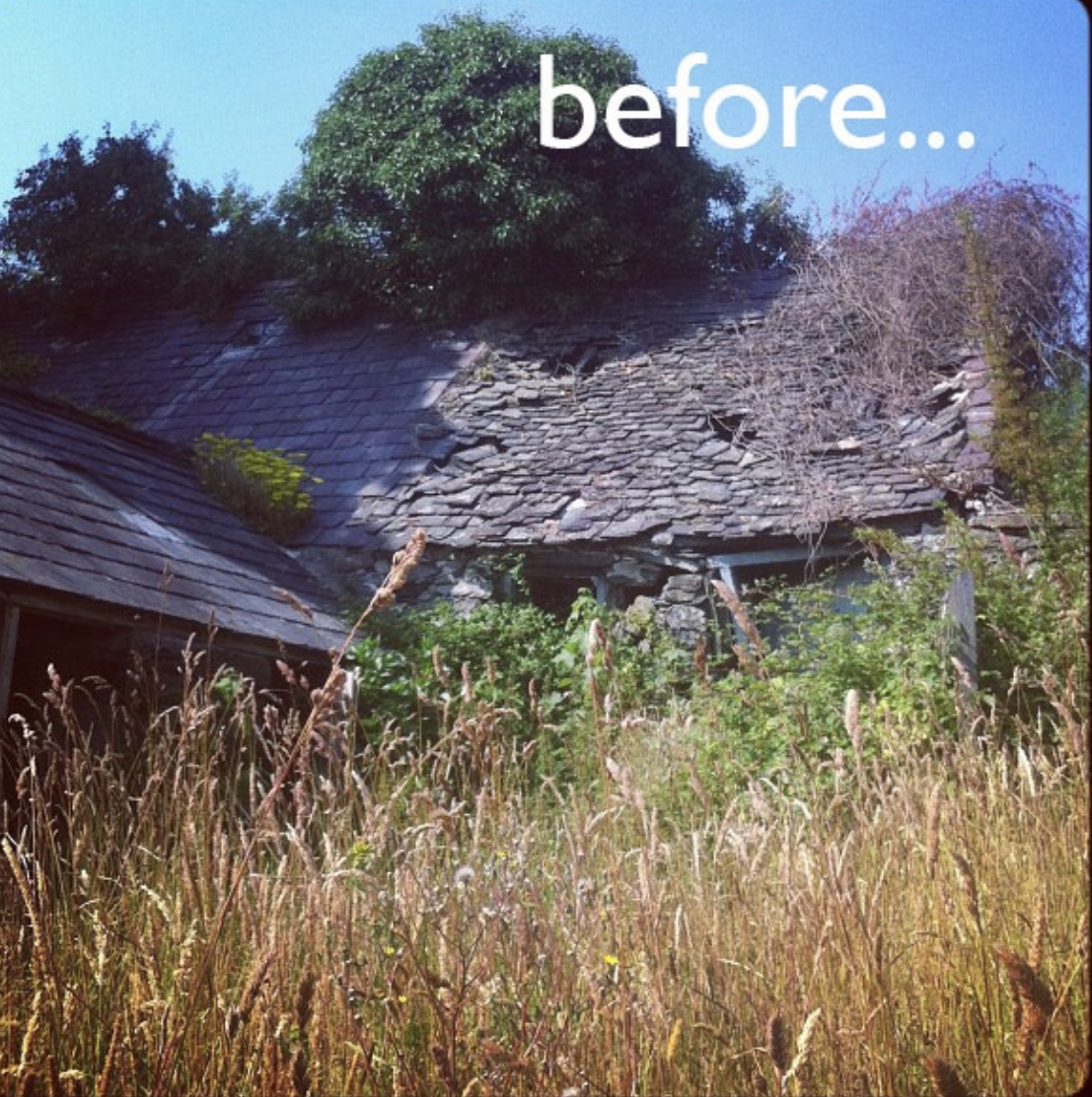 dilapidated building surrounded by overgrowth and trees, only the roof can be seen clearly